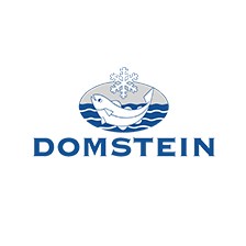 Domstein